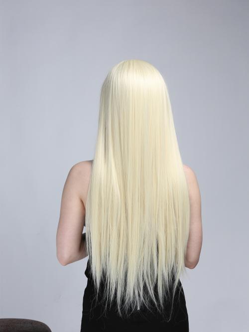 Elsa Style Gorgeous Blonde Long Straight Synthetic Lace Front Wig ...